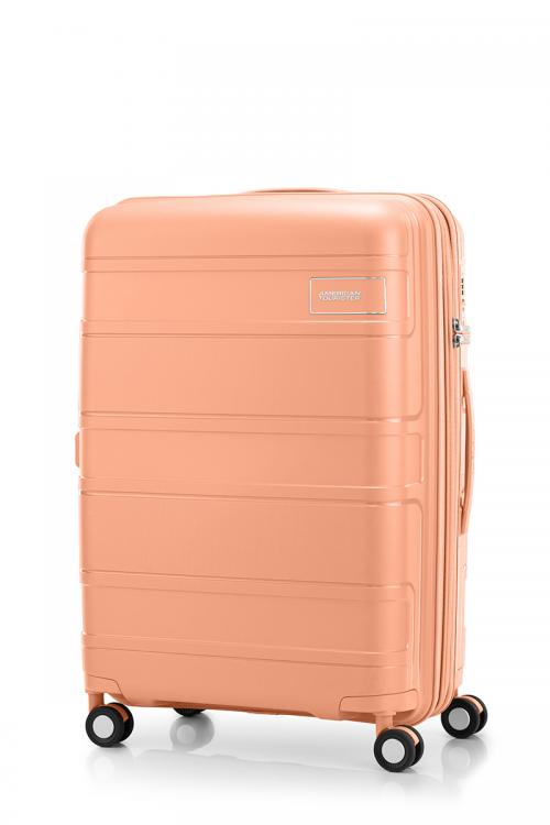 ［sale］スピナー55 アプリコット